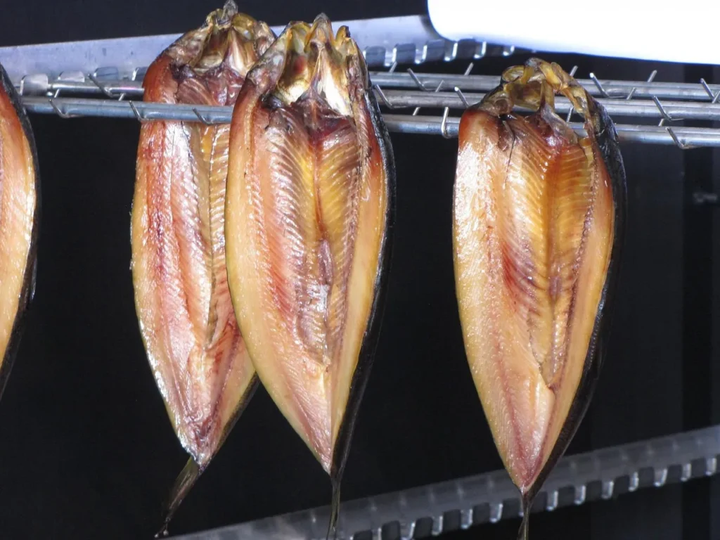 fish, herring, smoked, animal, fresh, food, seafood, mackerel, marine, nature, appetizer, restaurant, meal, raw, salmon, fillet, diet, tropical, trout, fishery, life, sardines, aquatic, market, catch, carp, meat, frozen, gourmet, nutritious, herring, herring, herring, herring, trout, fishery, fishery, fishery, fishery, fishery